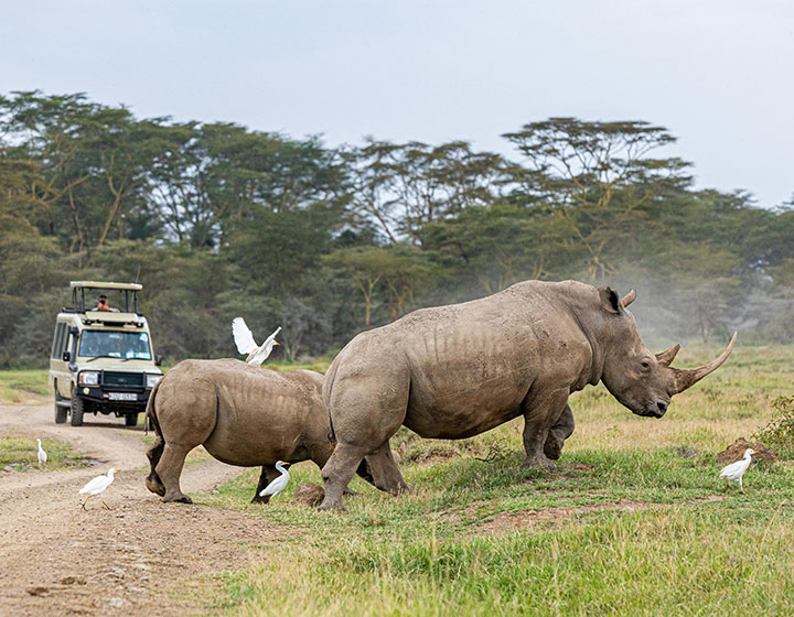 Lake Nakuru